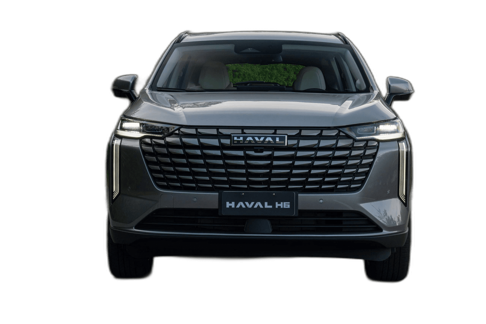 H6