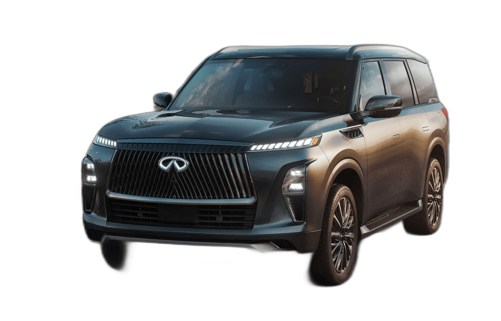 إنفينيتي QX80  2026